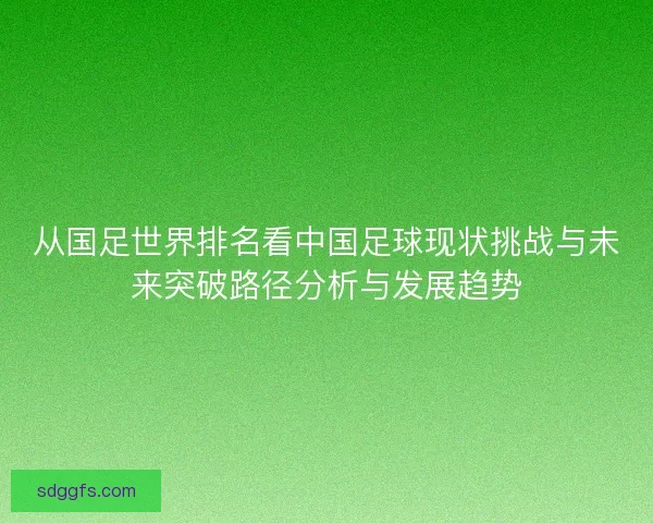 从国足世界排名看中国足球现状挑战与未来突破路径分析与发展趋势