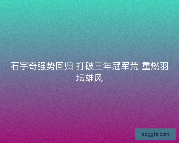 石宇奇强势回归 打破三年冠军荒 重燃羽坛雄风