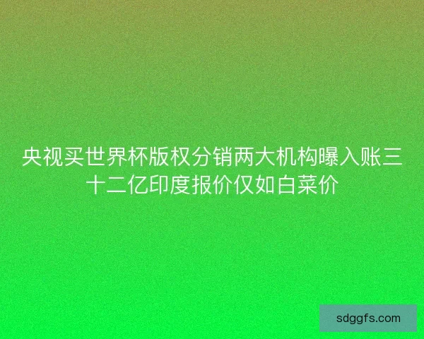 央视买世界杯版权分销两大机构曝入账三十二亿印度报价仅如白菜价